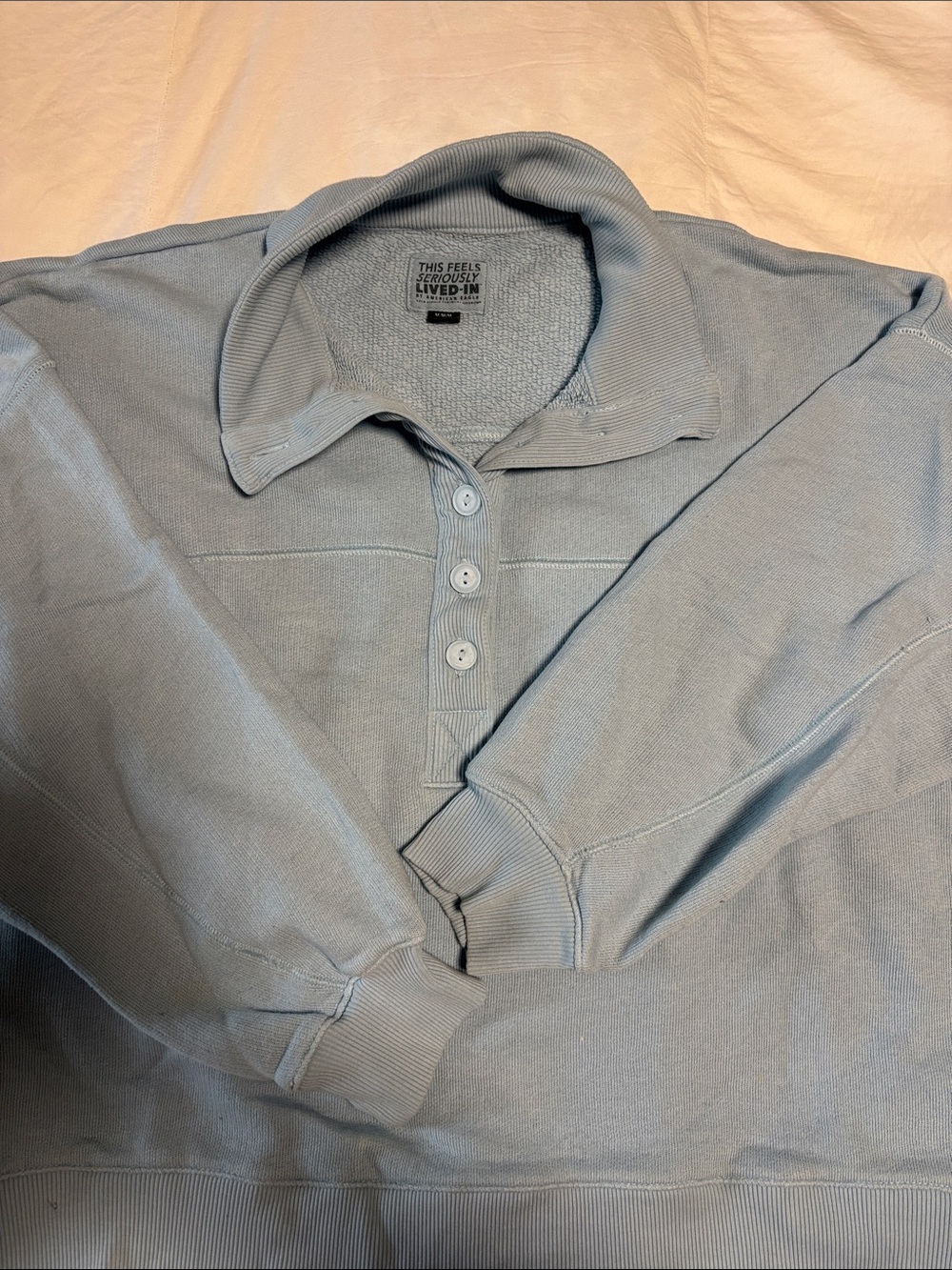 Light Blue Henley Collar Pullover Sweatshirt
